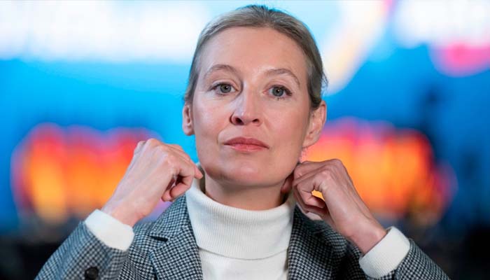 Alice Weidel Ohrprothese – Fakten und Gerüchte im Überblick alice weidel ohrprothese